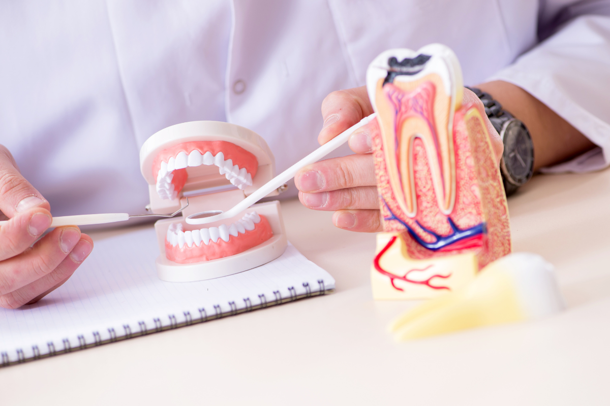 Untitled design - 2026-01-20T144849.336